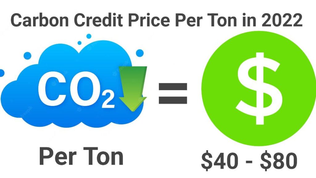 Carbon Credit Price