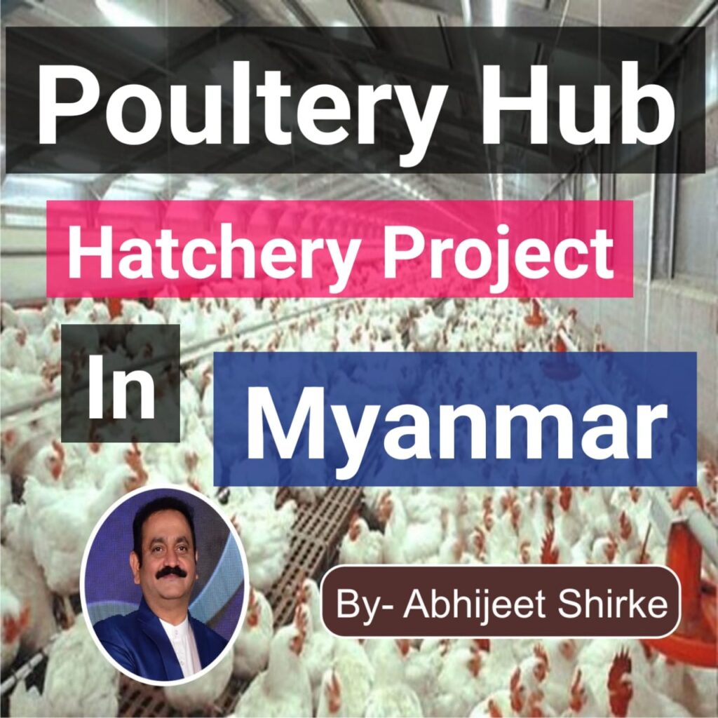 poultry hub hatchery myanmar