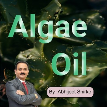 Algae Oil