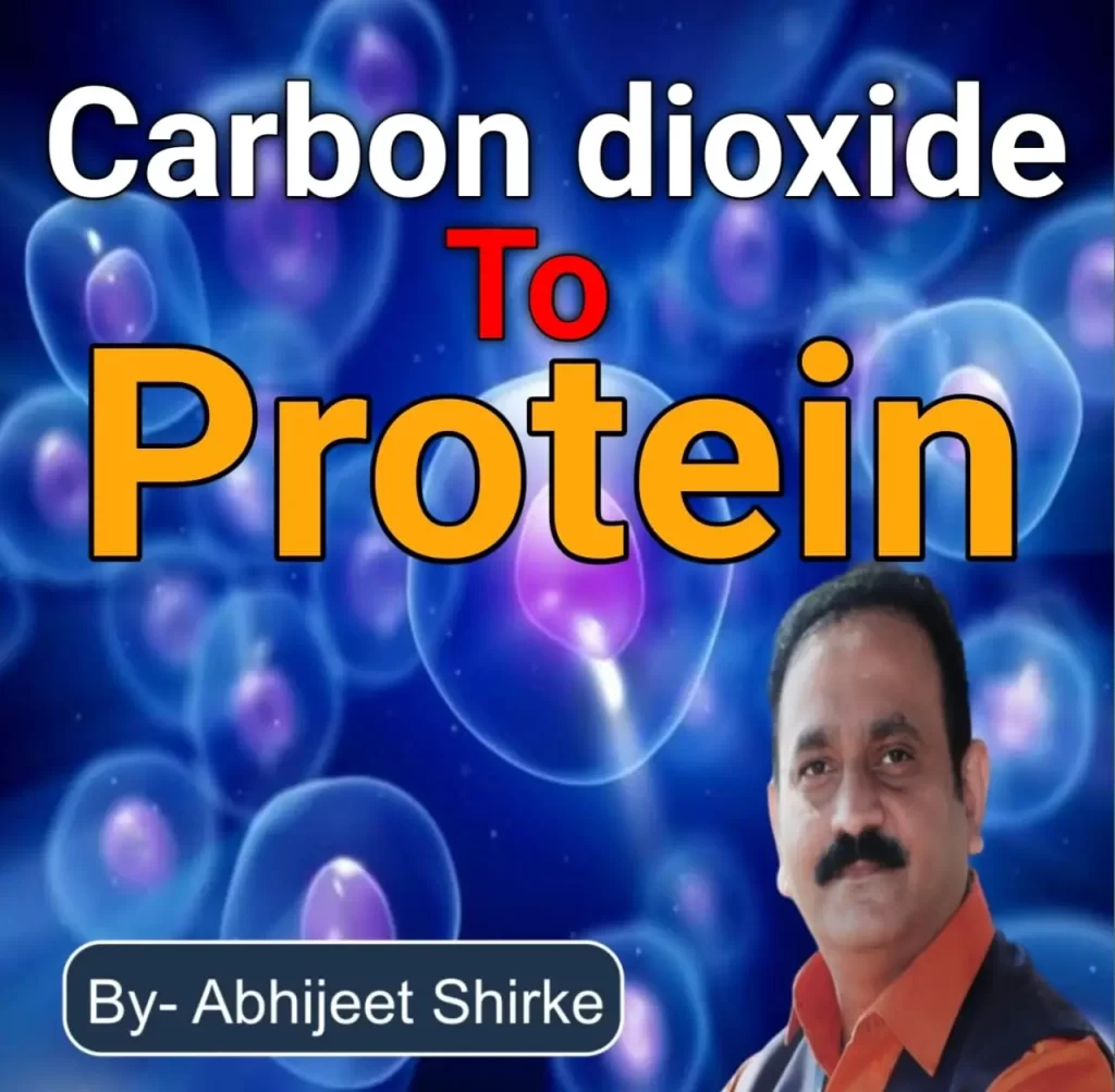 carbon dioxide to protein