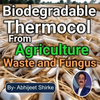 biodegradable thermocol