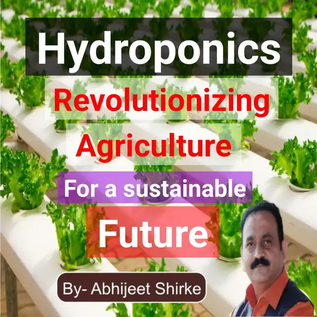 hydroponics revolutionizing agriculture