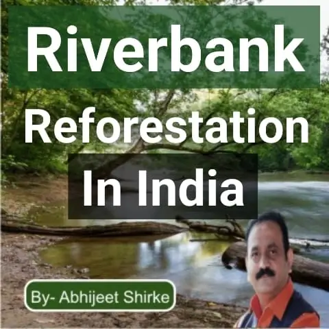 riverbank reforestation