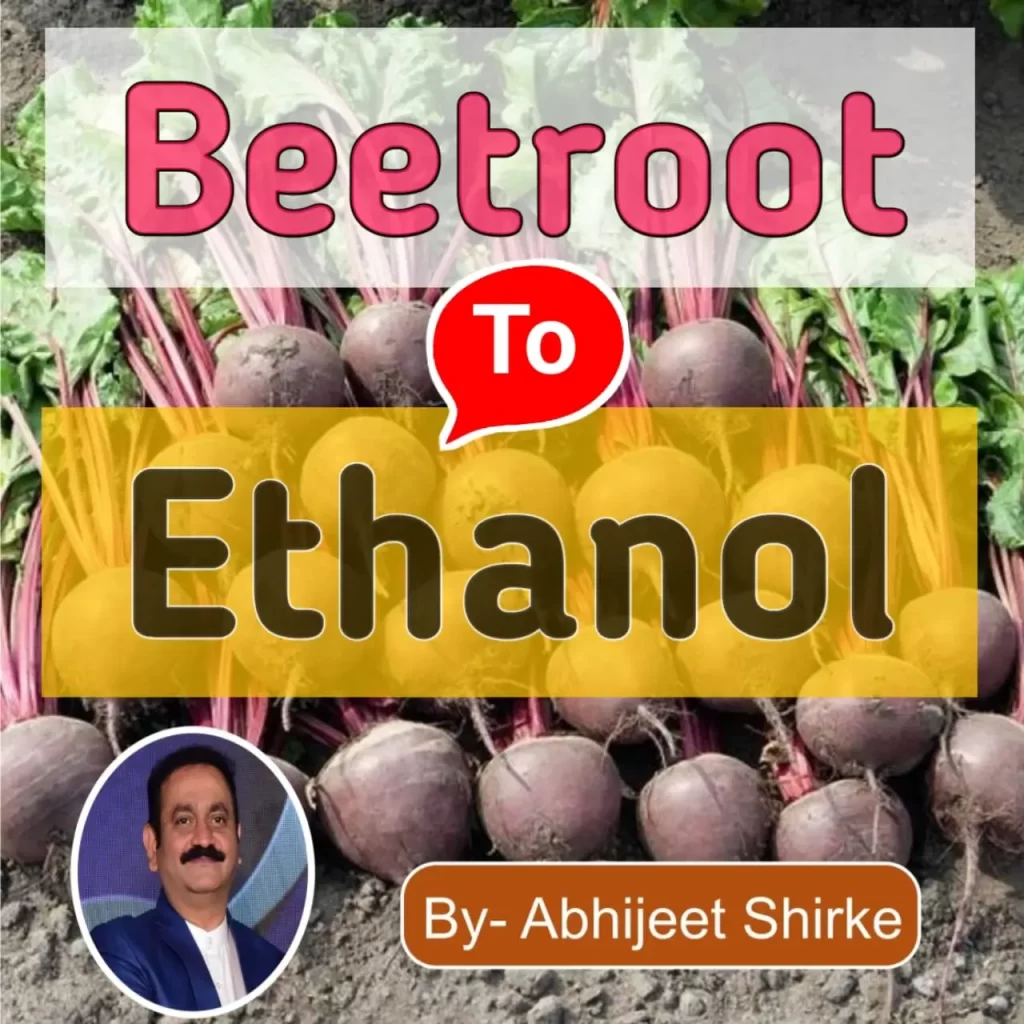 beetroot to ethanol