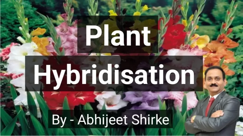 Plant Hybridisation