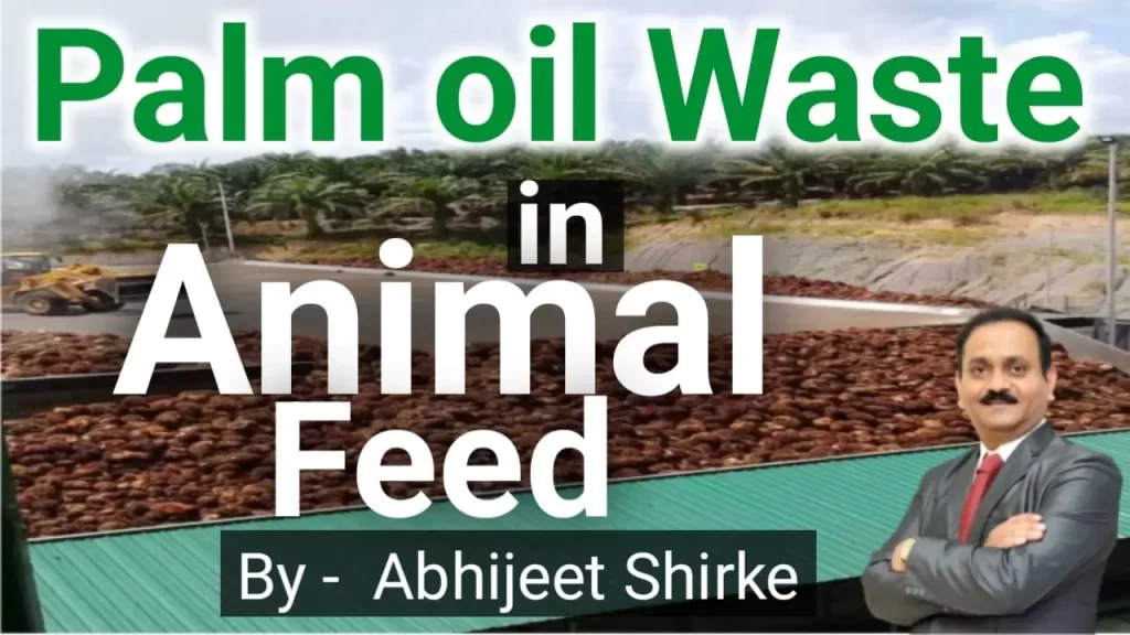 Palm Oil Waste in Animal Feed