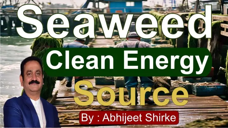 Seaweed Clean Energy Source