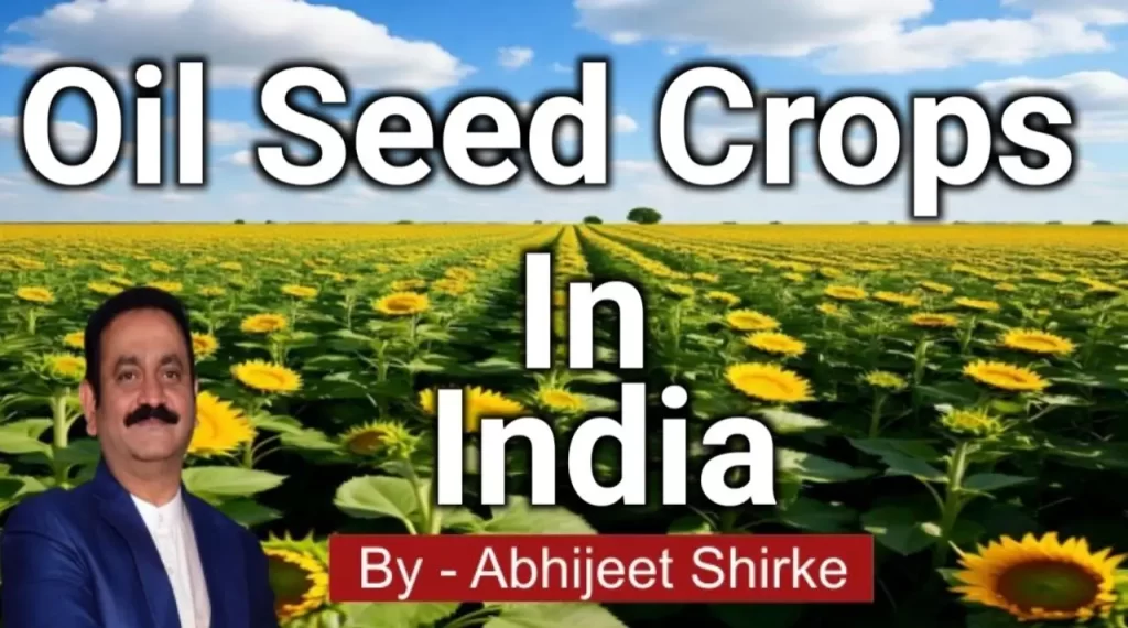 Oil Seed Crops in India